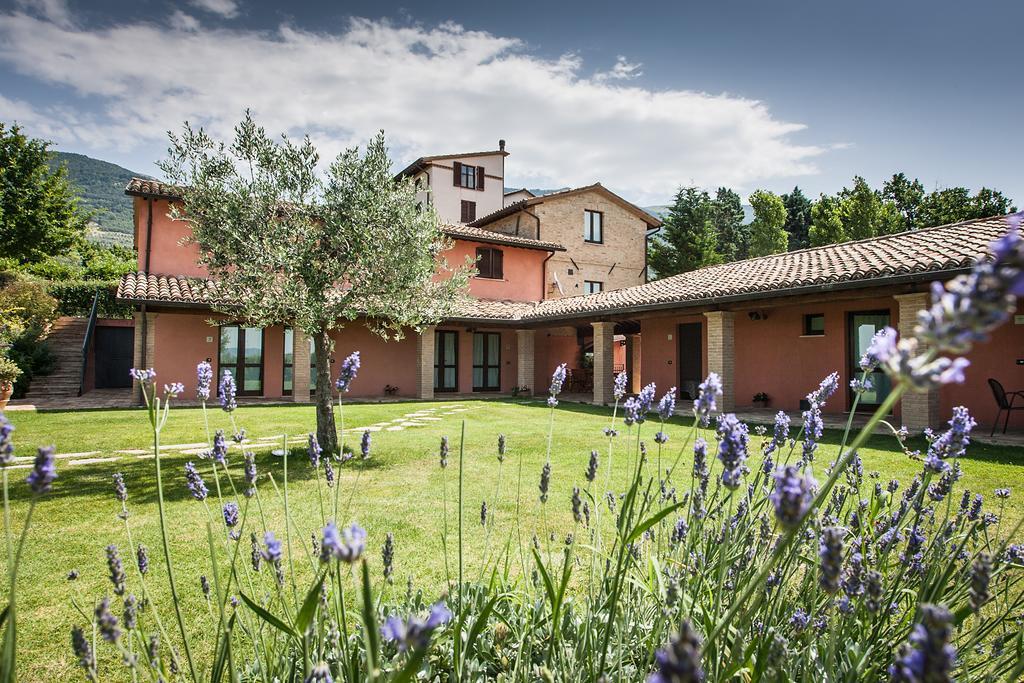 Country House Poggio Fiorito อัสซิซี ภายนอก รูปภาพ