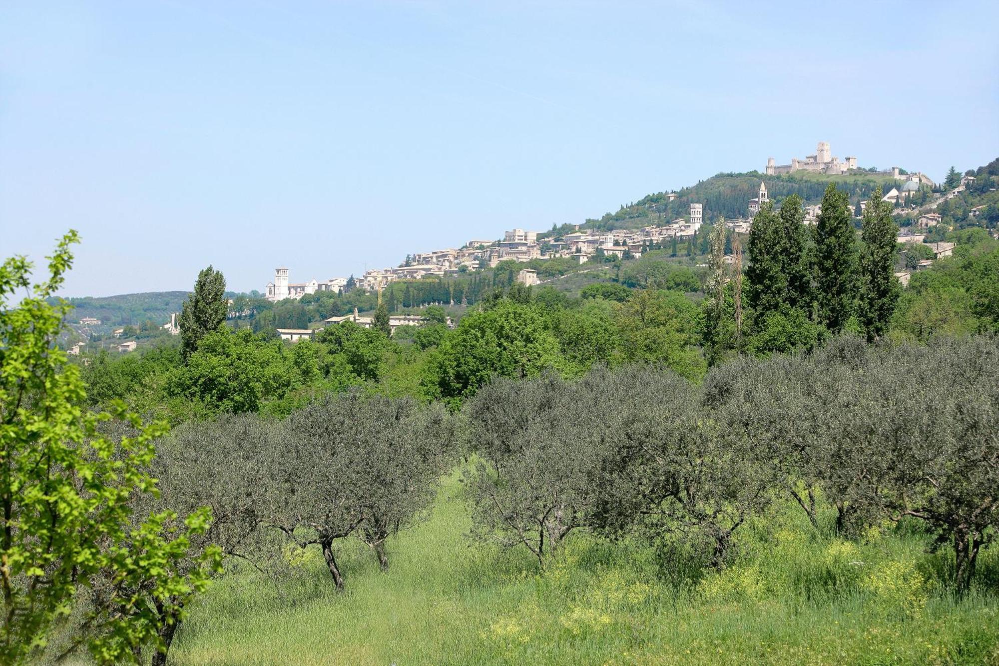 Country House Poggio Fiorito อัสซิซี ภายนอก รูปภาพ
